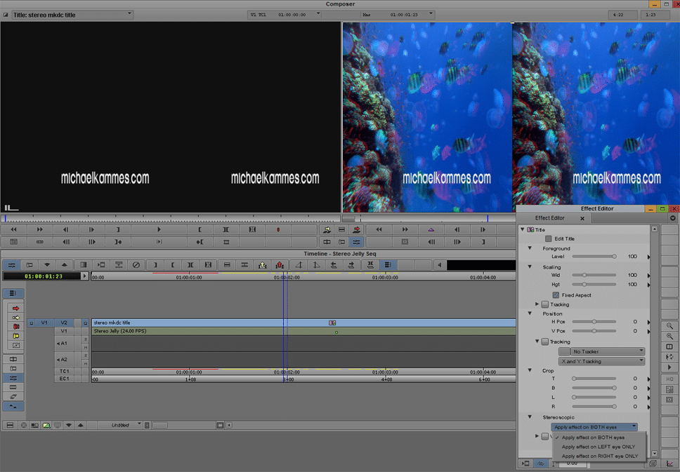 Stereo aware effects and titles in Media Composer 6